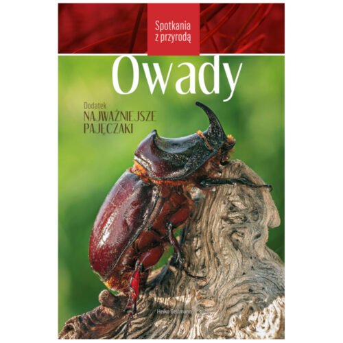 Spotkania z przyrodą. Owady