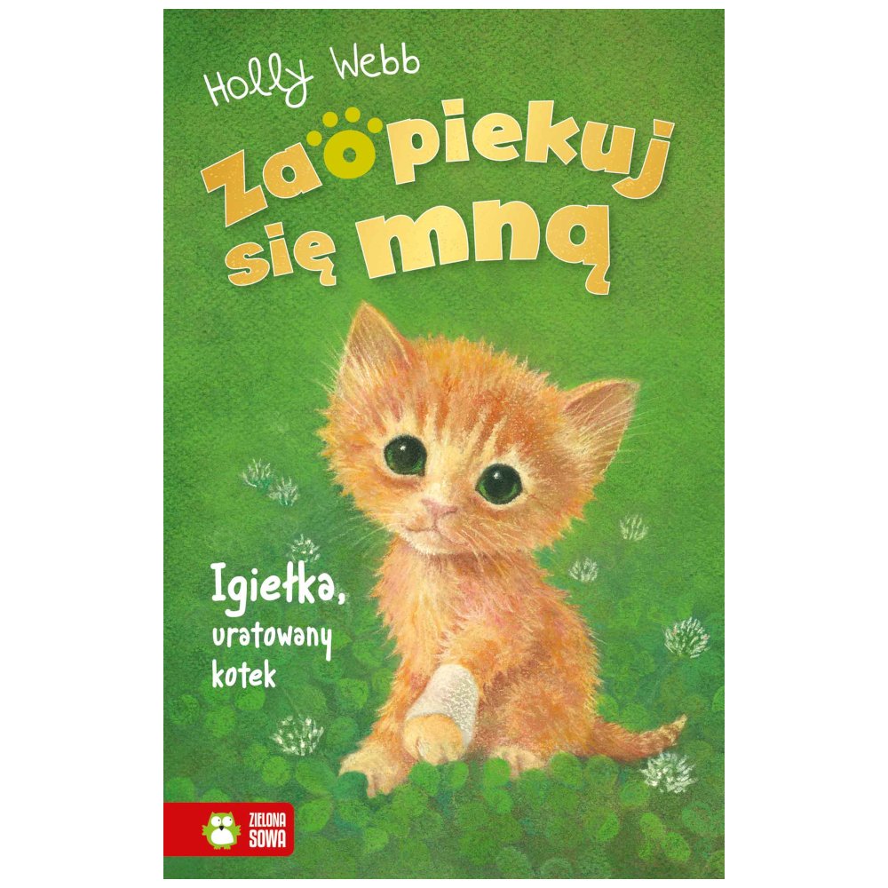 Zaopiekuj się mną. Igiełka, uratowany kotek