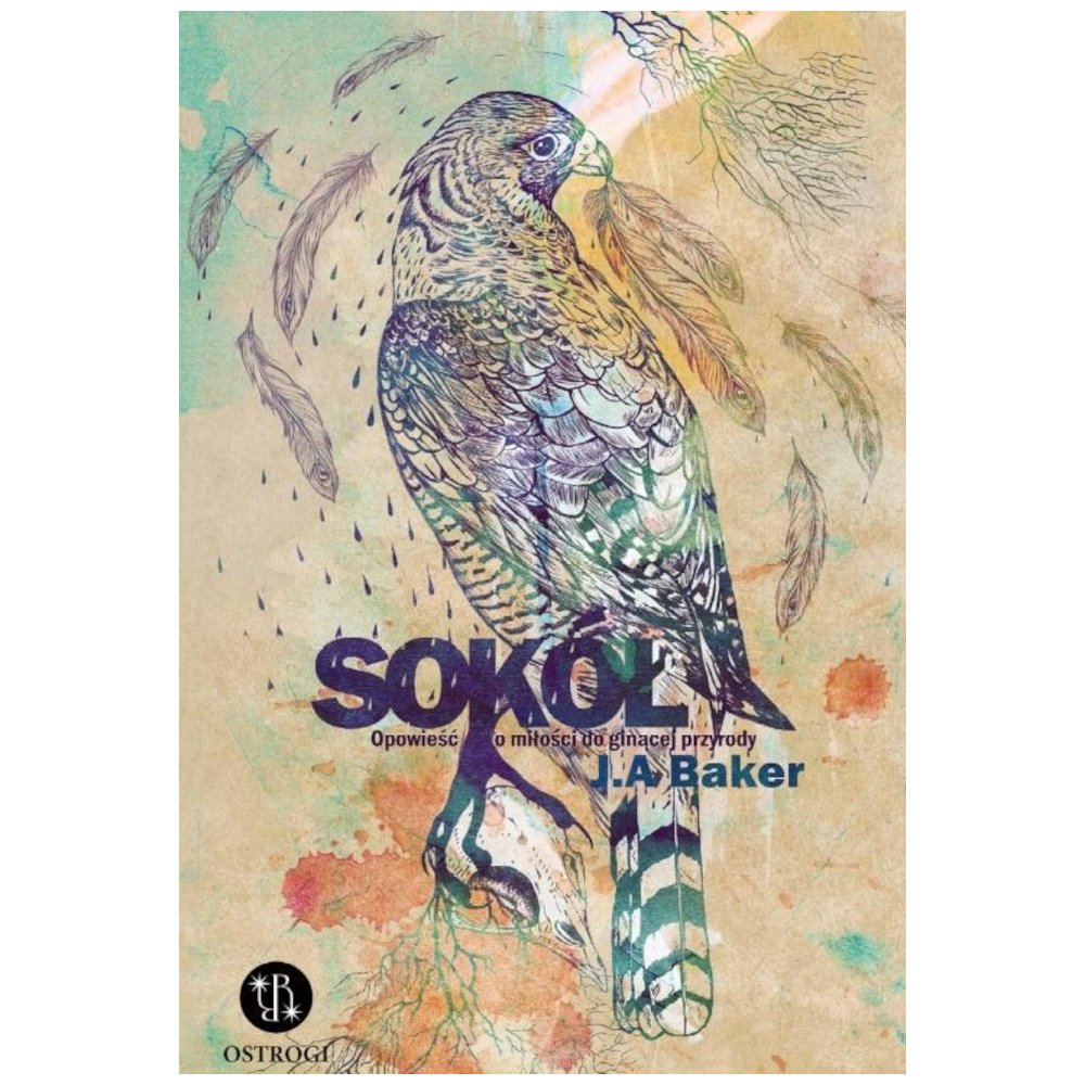 Sokół. Opowieść o miłości do ginącej przyrody