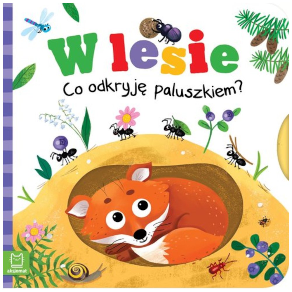 W lesie. Co odkryję paluszkiem?