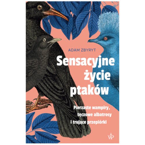 Sensacyjne życie ptaków