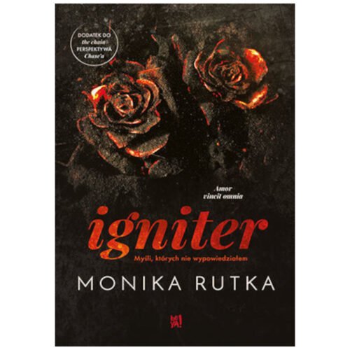 Igniter. Myśli, których nie wypowiedziałem