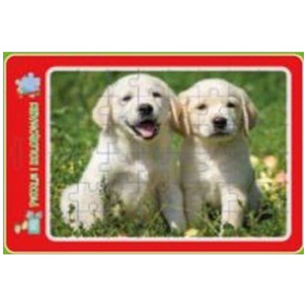 Puzzle w ramce z kolorowanką. Szczeniaczki