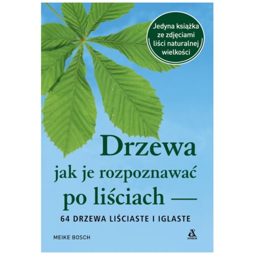 Drzewa jak je rozpoznawać po liściach