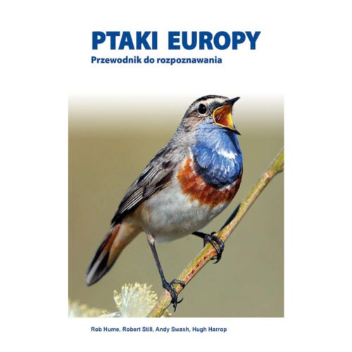 Ptaki Europy. Przewodnik do rozpoznawania