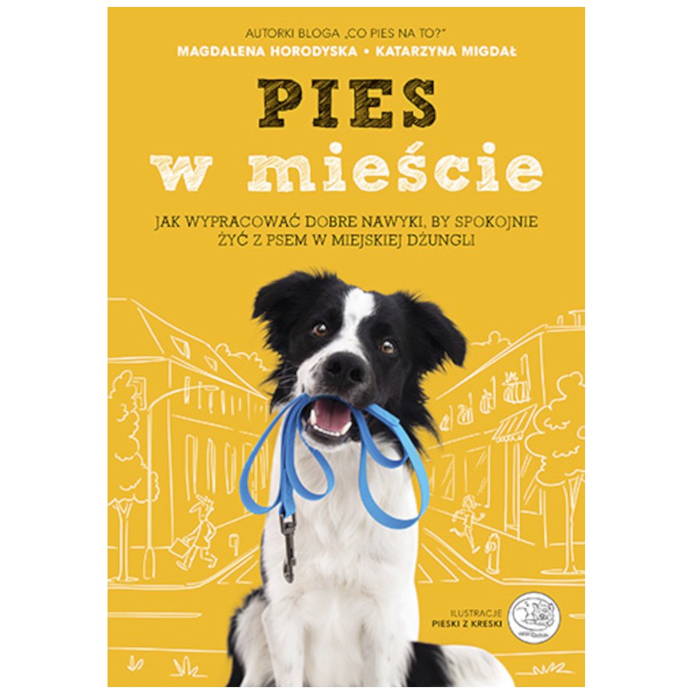 Pies w mieście