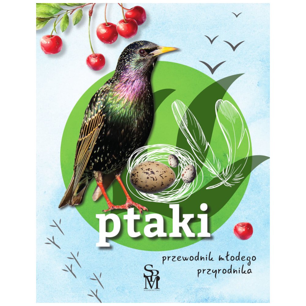 Ptaki. Przewodnik młodego przyrodnika