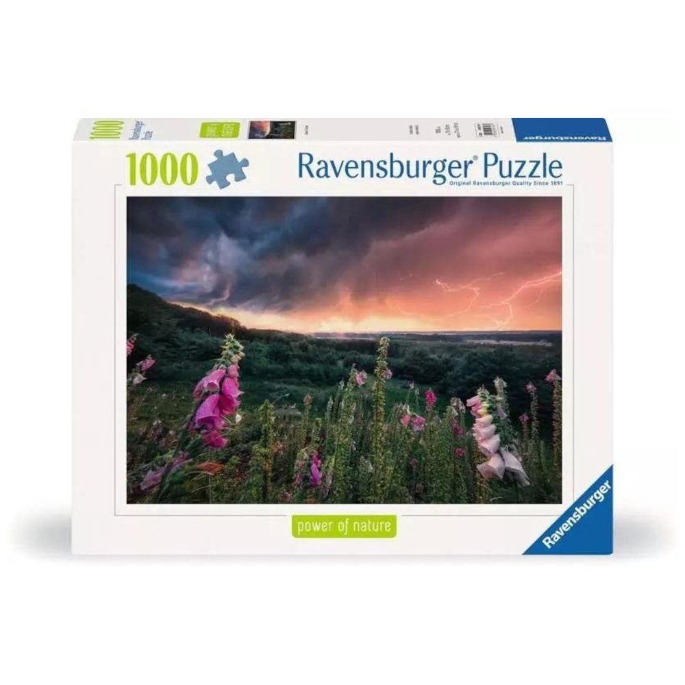 Puzzle 1000 Nadchodzi burza