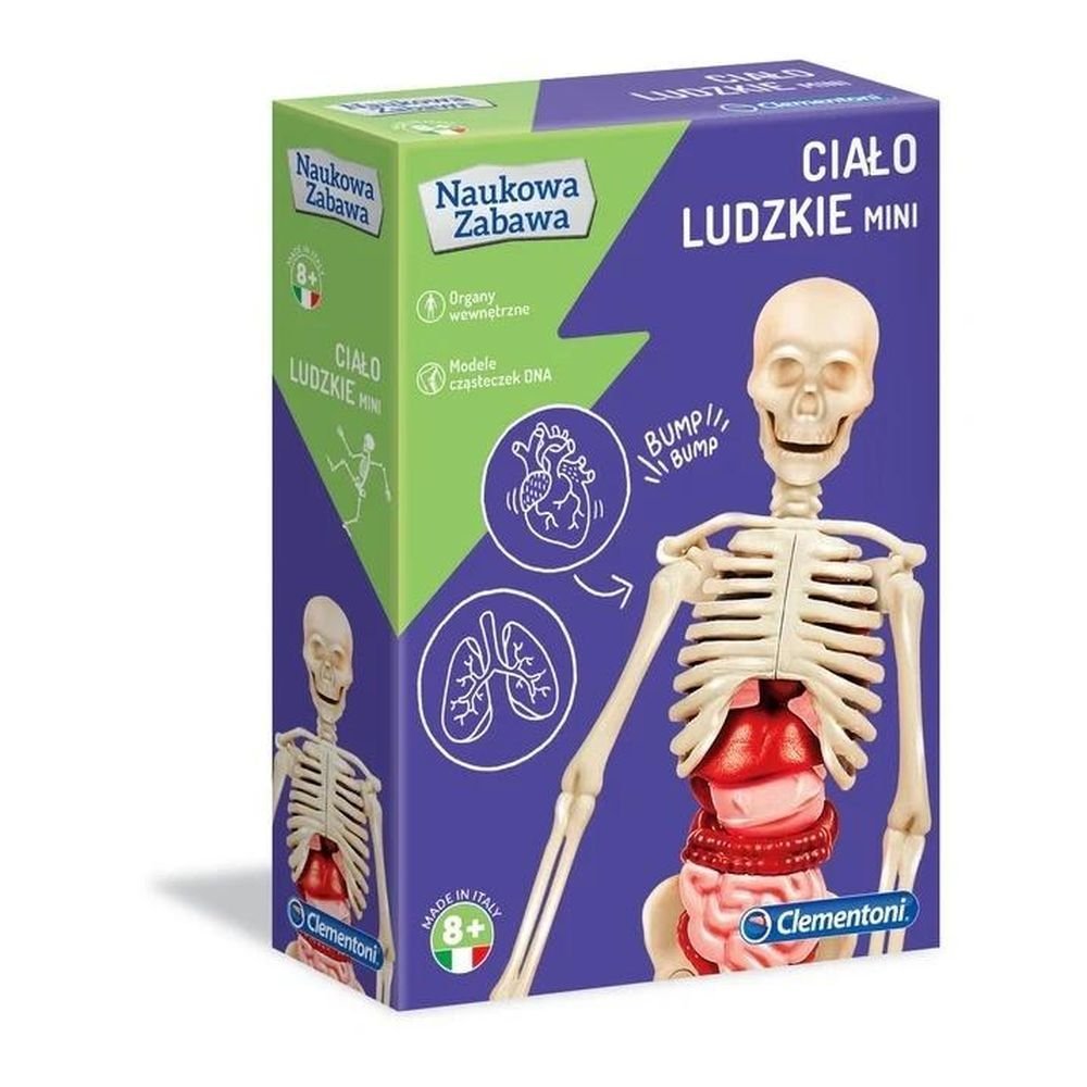 Naukowa zabawa. Ciało ludzkie mini