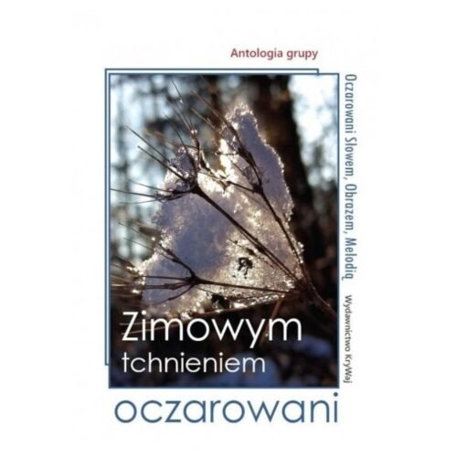 Zimowym tchnieniem oczarowani