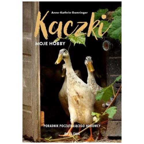 Kaczki - moje hobby. Poradnik początkującego...
