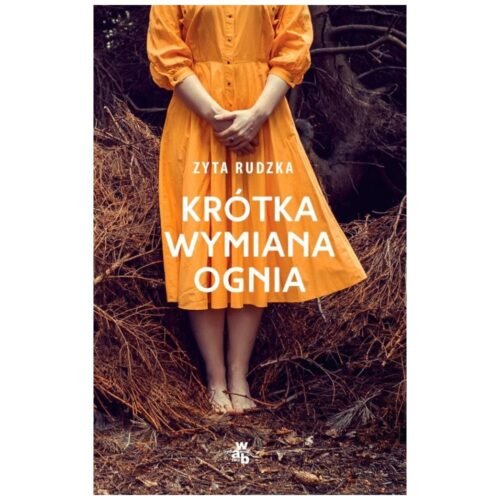 Krótka wymiana ognia