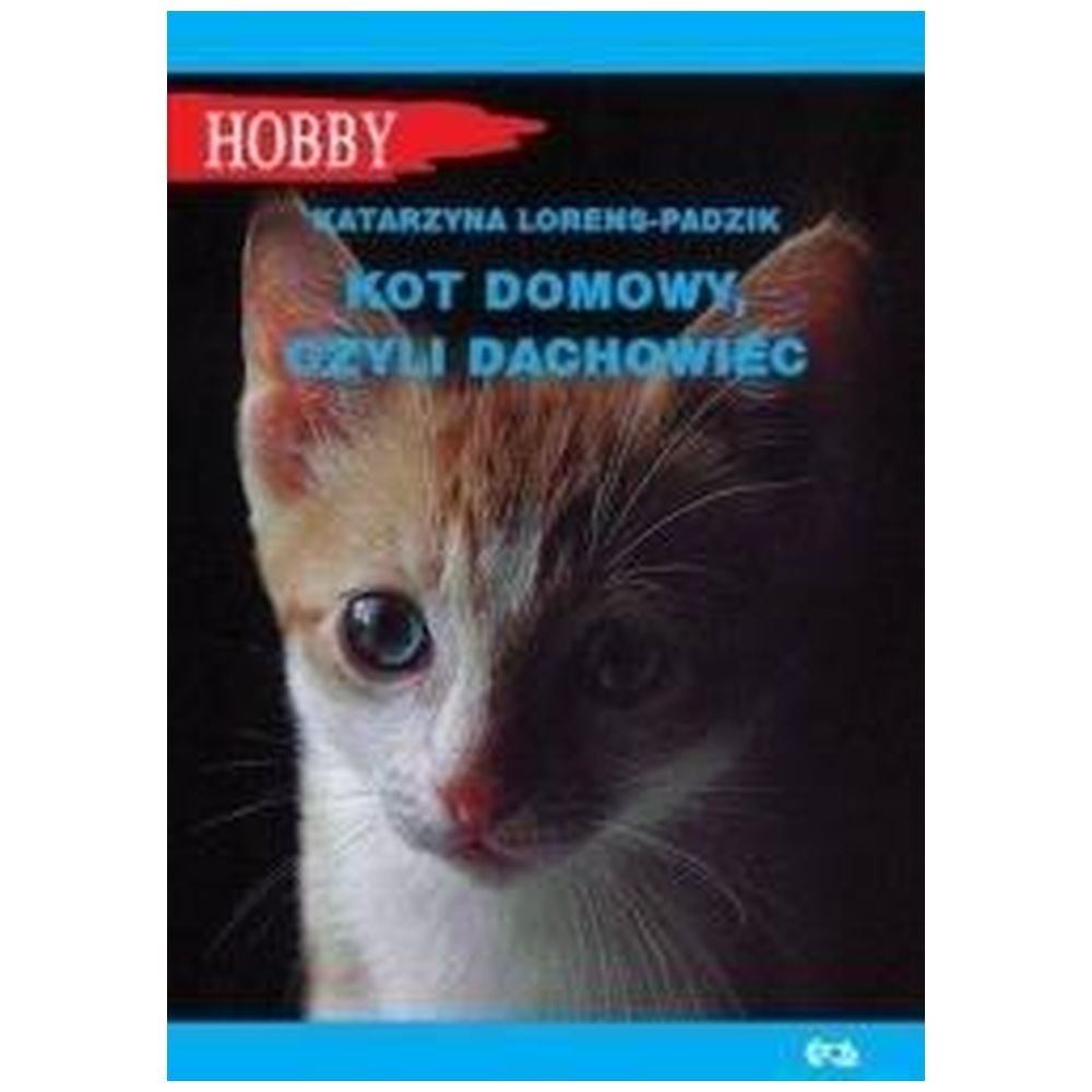 Kot domowy czyli dachowiec