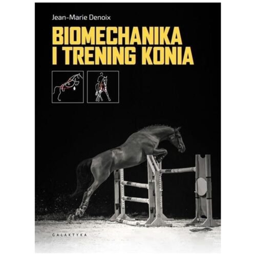 Biomechanika i trening konia