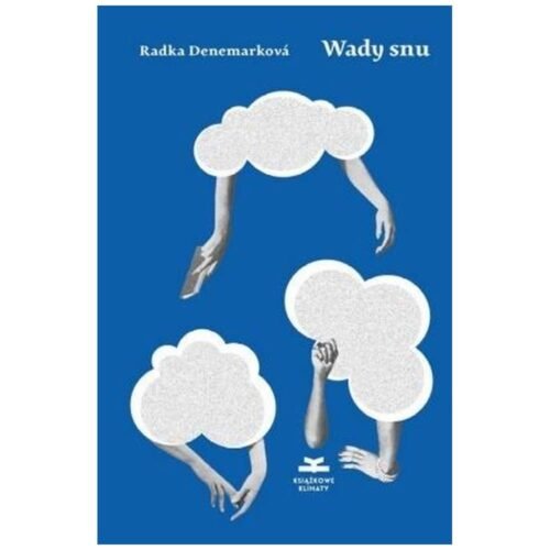 Wady snu