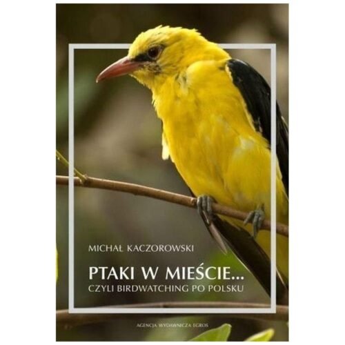 Ptaki w mieście, czyli birdwatching po polsku