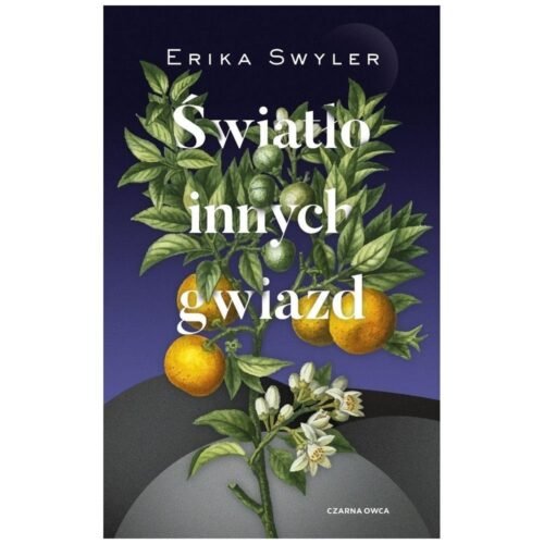 Światło innych gwiazd