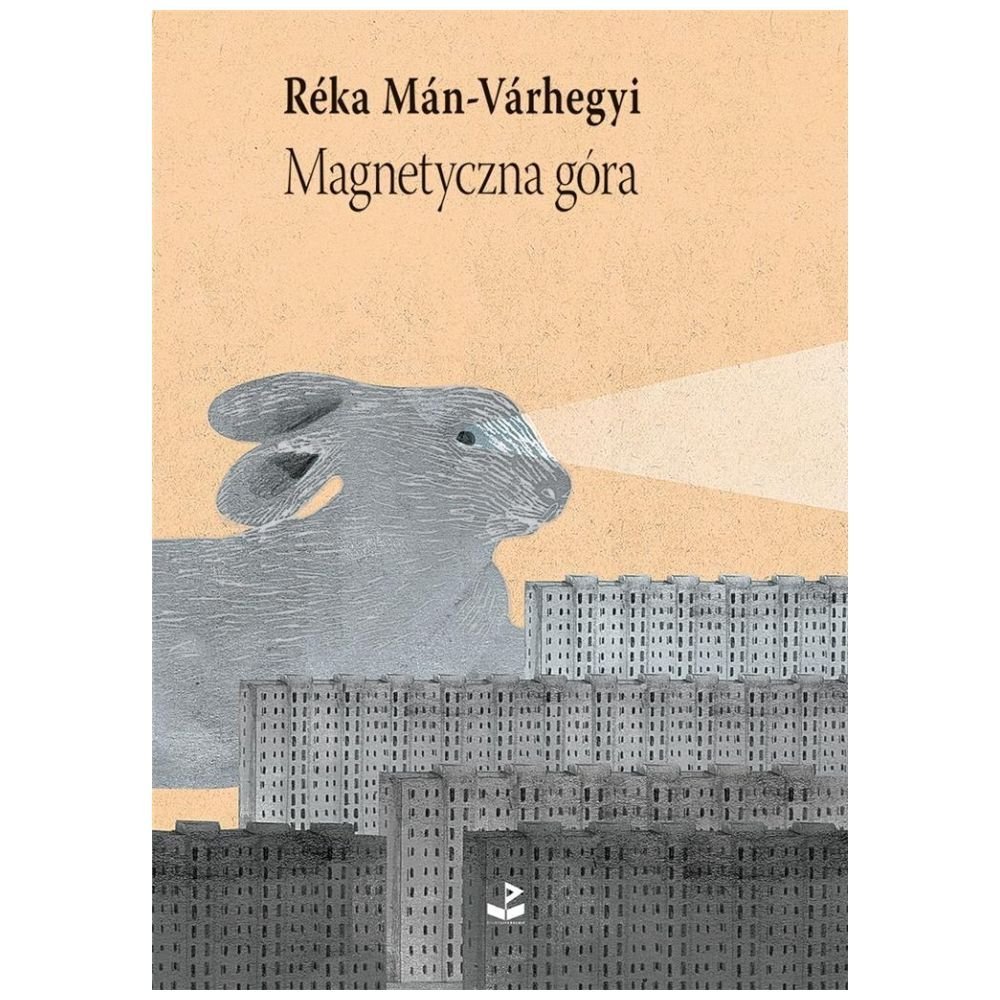 Magnetyczna góra