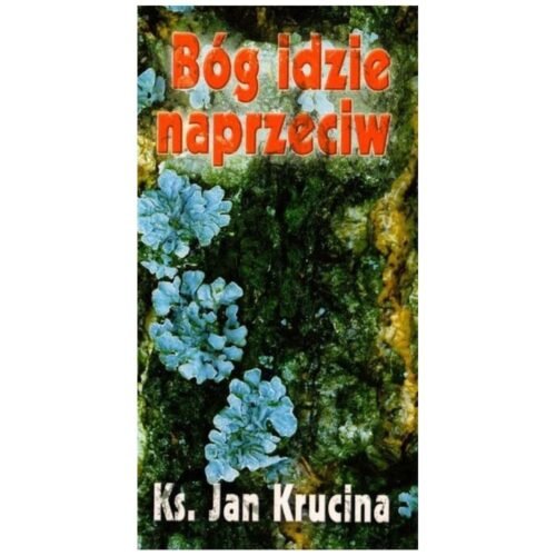 Bóg idzie naprzeciw