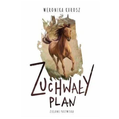 Zuchwały plan