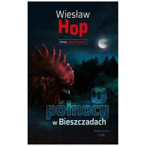 O północy w Bieszczadach