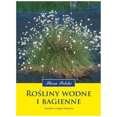 Rośliny wodne i bagienne
