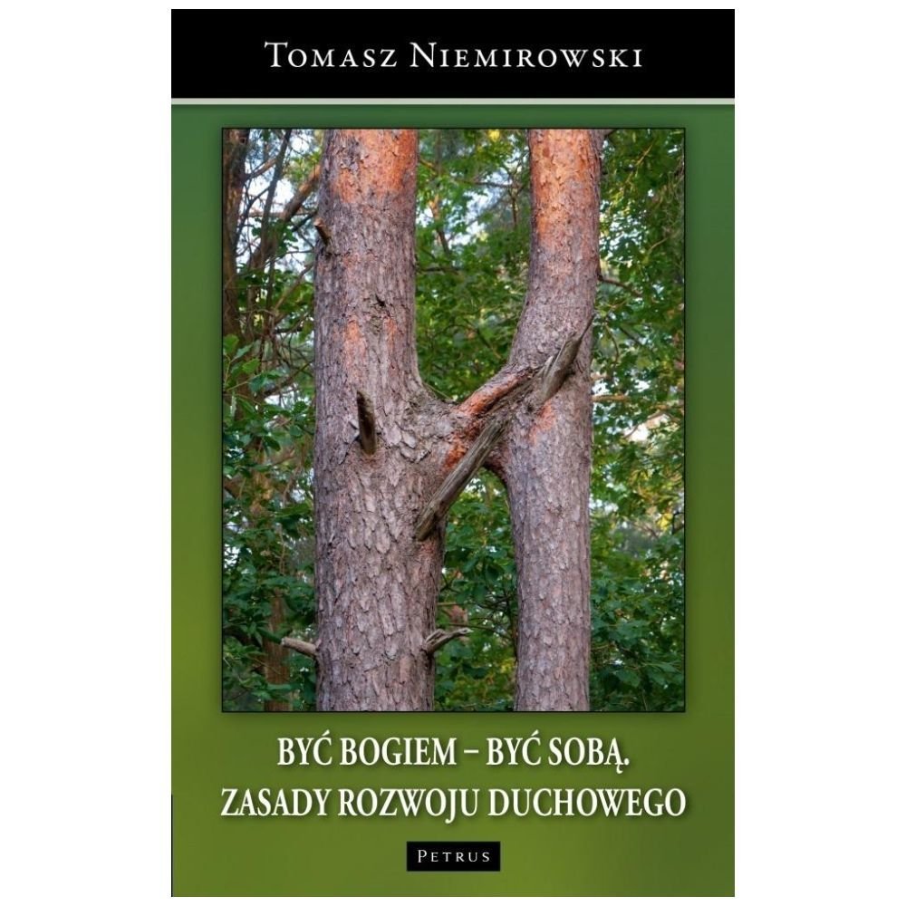 Być Bogiem - być sobą. Zasady rozwoju duchowego