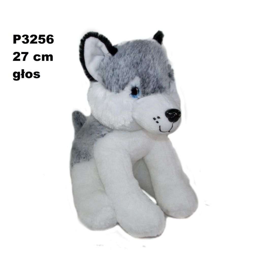 Pies husky z głosem 24cm
