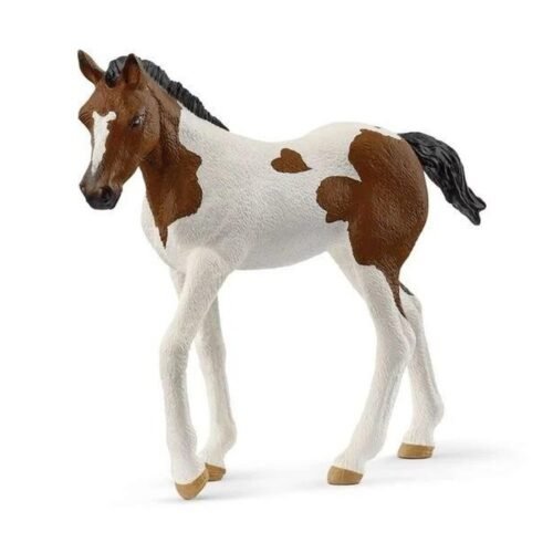 Źrebak rasy Paint Horse