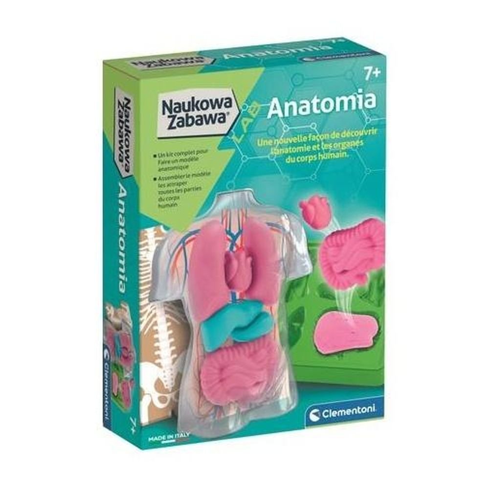 Naukowa Zabawa. Anatomia