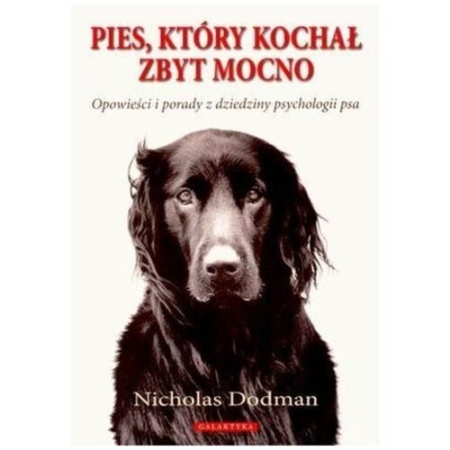 Pies, który kochał zbyt mocno