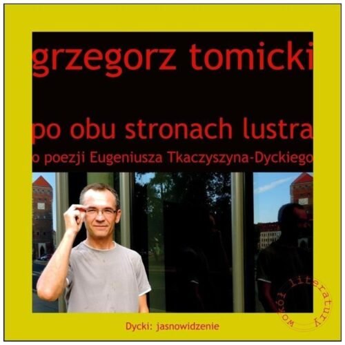 Po obu stronach lustra