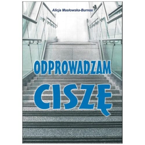 Odprowadzam ciszę