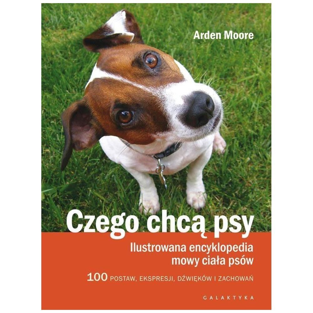 Czego chcą psy