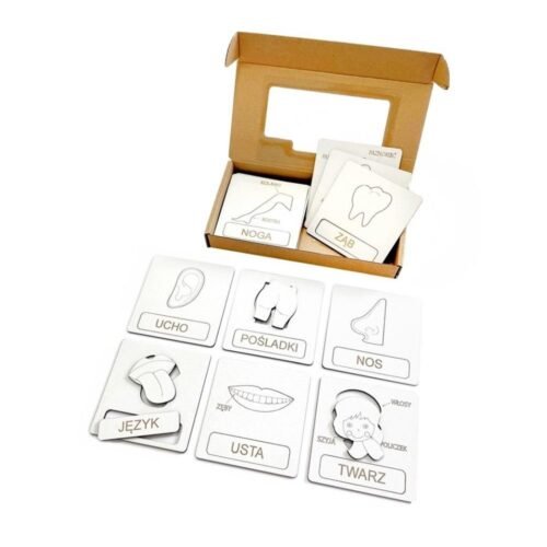 Układanka tematyczna - części ciała