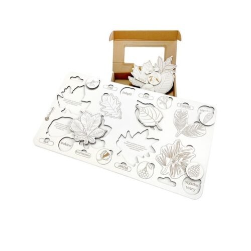 Liście i owoce drzew