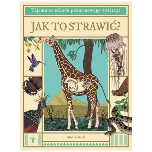 Jak to strawić? Tajemnice układu pokarmowego...