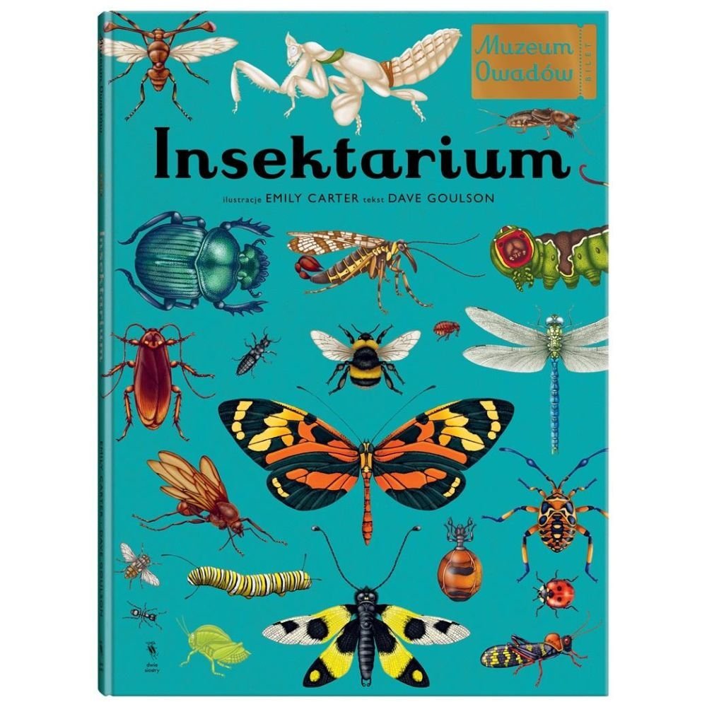 W Muzeum. Insektarium. Muzeum Owadów