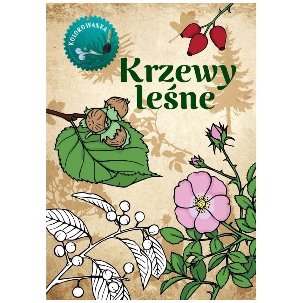 Krzewy leśne kolorowanka