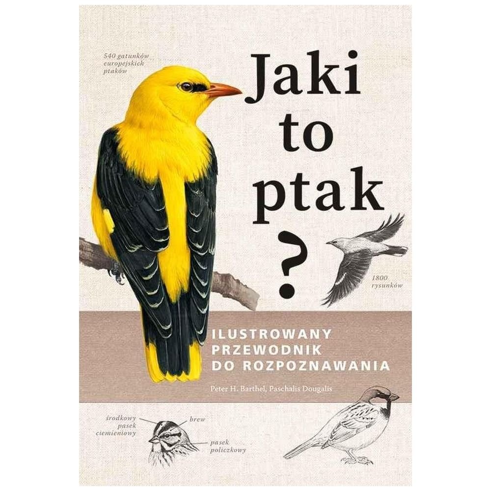 Jaki to ptak? Ilustrowany przewodnik...