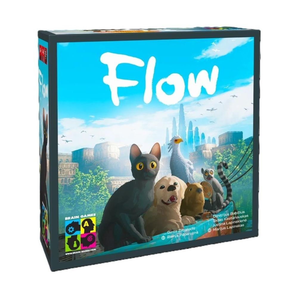 Flow BRAIN GAMES