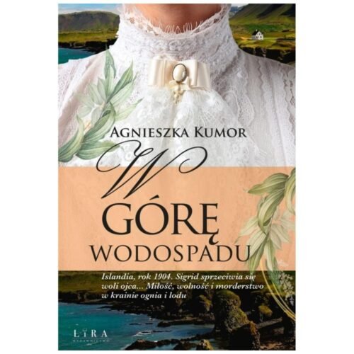 W górę wodospadu