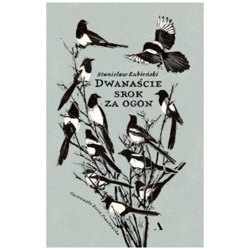 Dwanaście srok za ogon