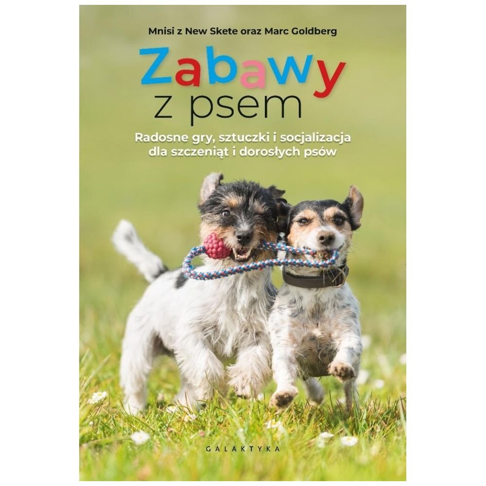 Zabawy z psem. Radosne gry, sztuczki...