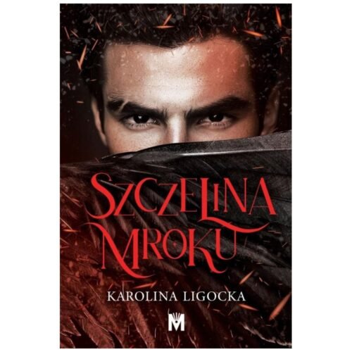 Szczelina mroku