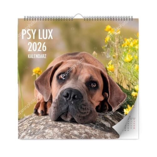 Kalendarz 2026 ścienny lux psy