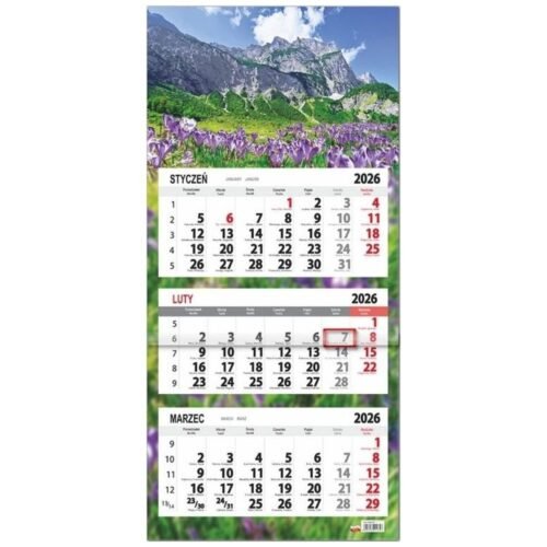 Kalendarz 2026 trójdzielny płaska główka Krokusy