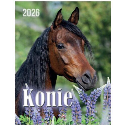 Kalendarz 2026 wieloplanszowy 34x44cm Podróże