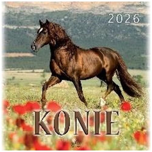 Kalendarz 2026 wieloplanszowy 33x33cm Konie