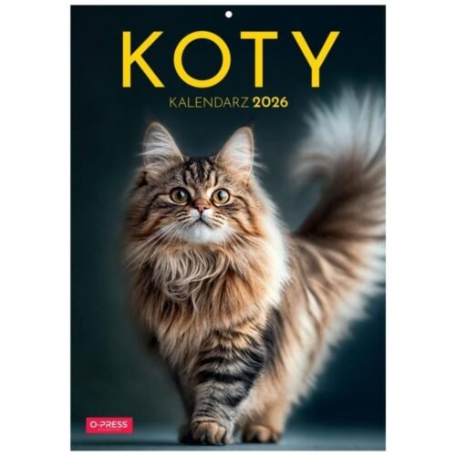 Kalendarz 2026 A4 Wieloplanszowy Koty